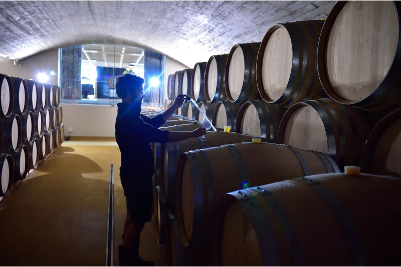 Visite des caves & dégustation