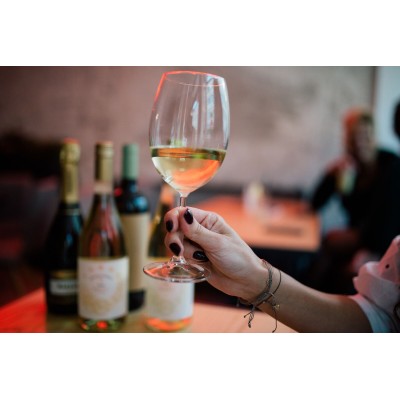 Bourgogne Chardonnay « Clos du Puits » 2023