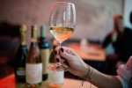 Bourgogne Chardonnay « Clos du Puits » 2023