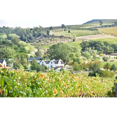 Private tour & tasting