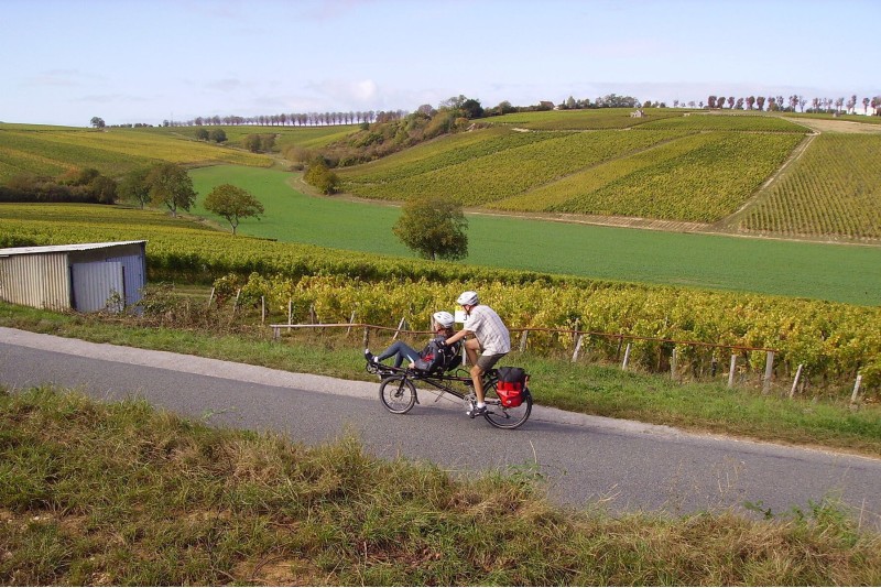 Vineyard e-bike tour