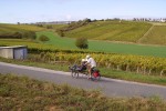 Vineyard e-bike tour